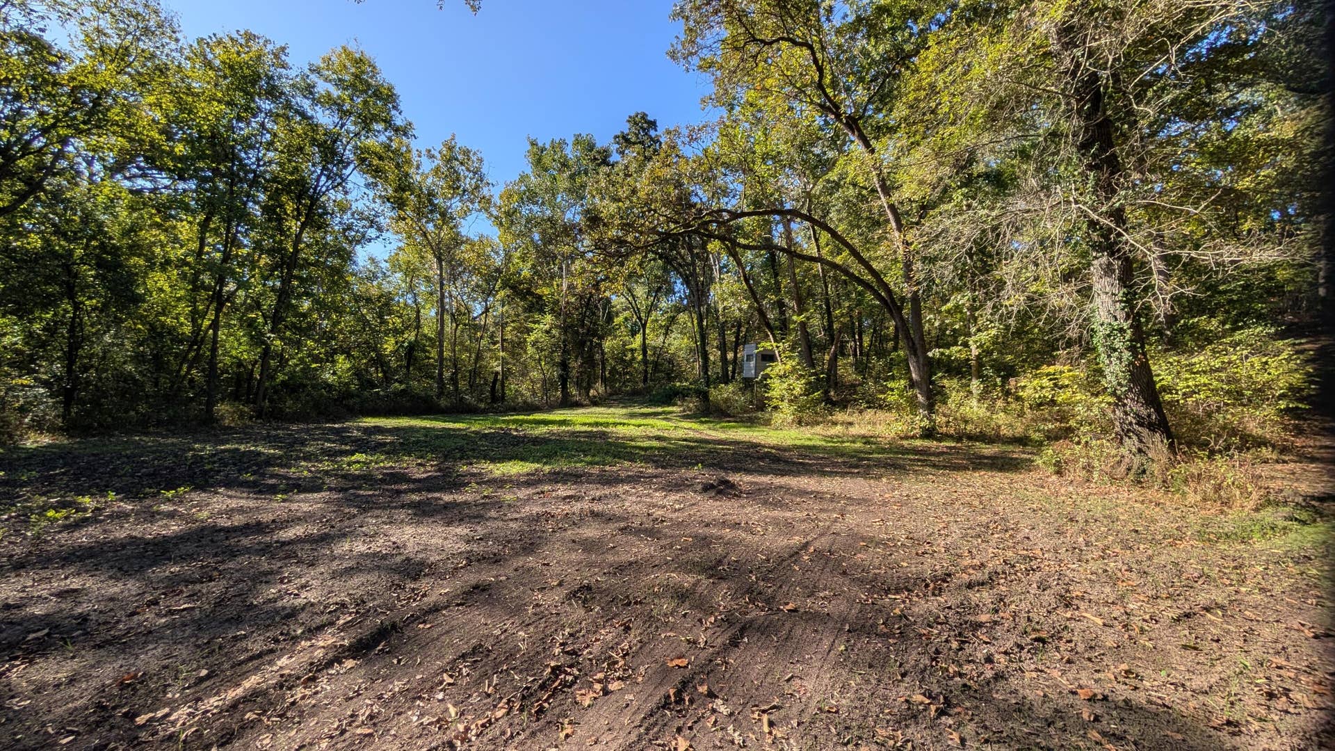 000 SE 731 Road, Collins, MO 64738 1000022412