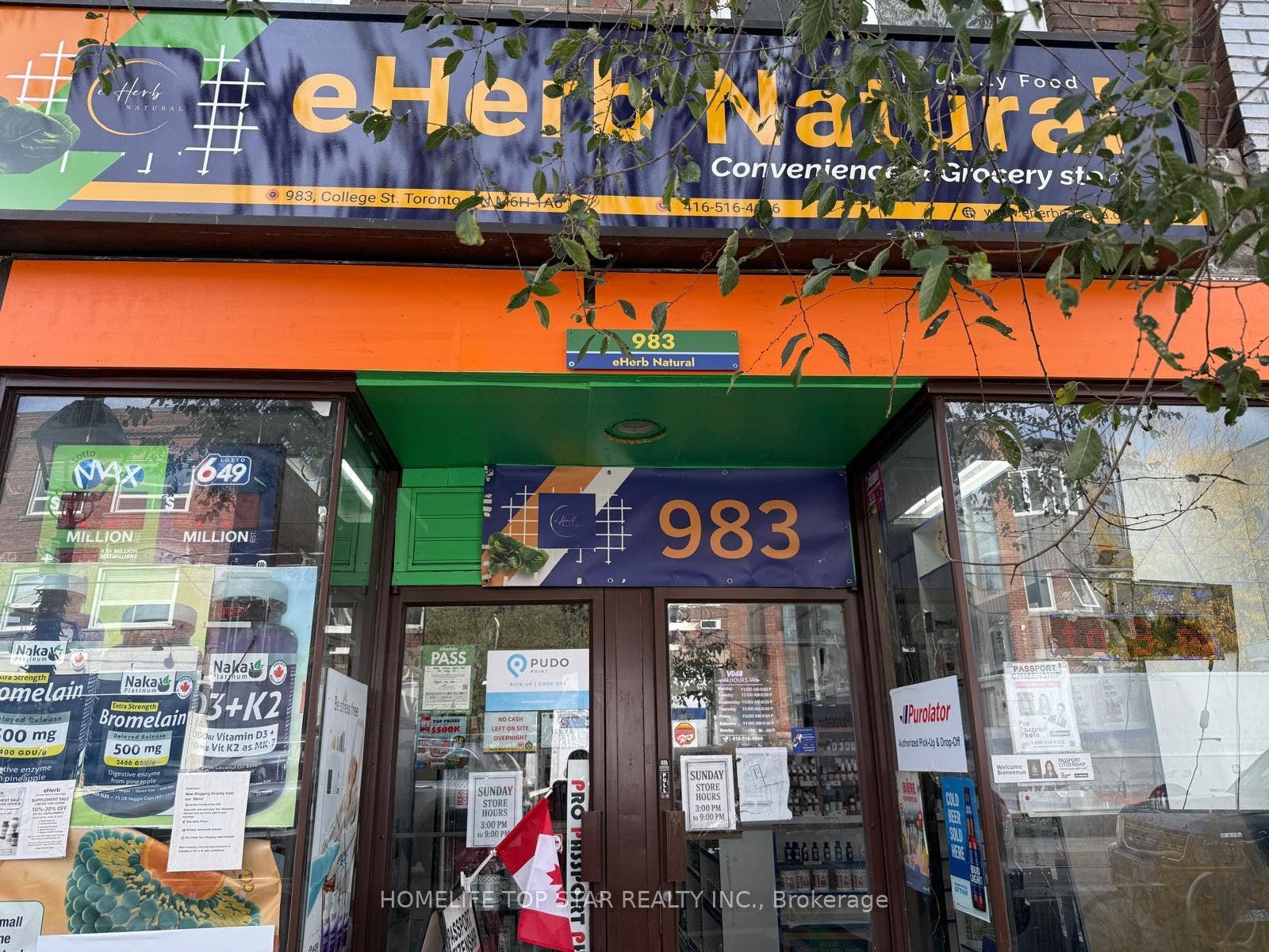 983 College Street, #Main & Basement, Toronto C, Toronto ON M6H 1A6