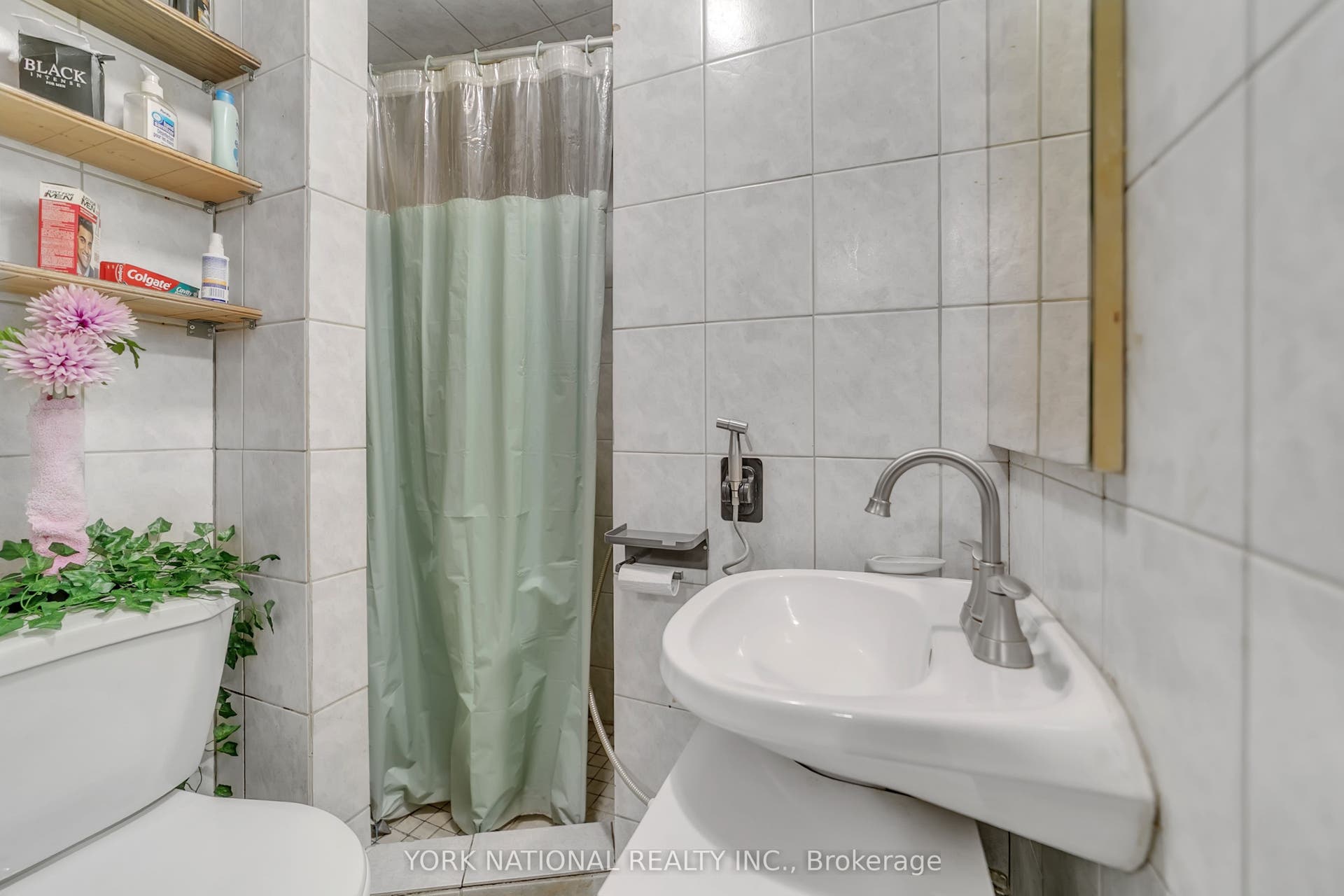 186 Patricia Avenue, Toronto C, Toronto ON M2M 1J5