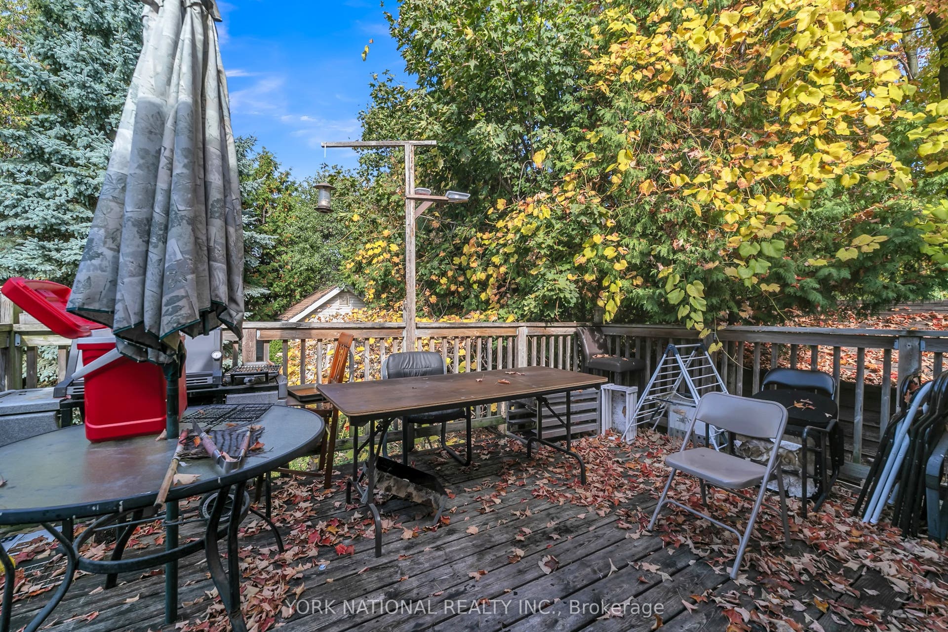 186 Patricia Avenue, Toronto C, Toronto ON M2M 1J5