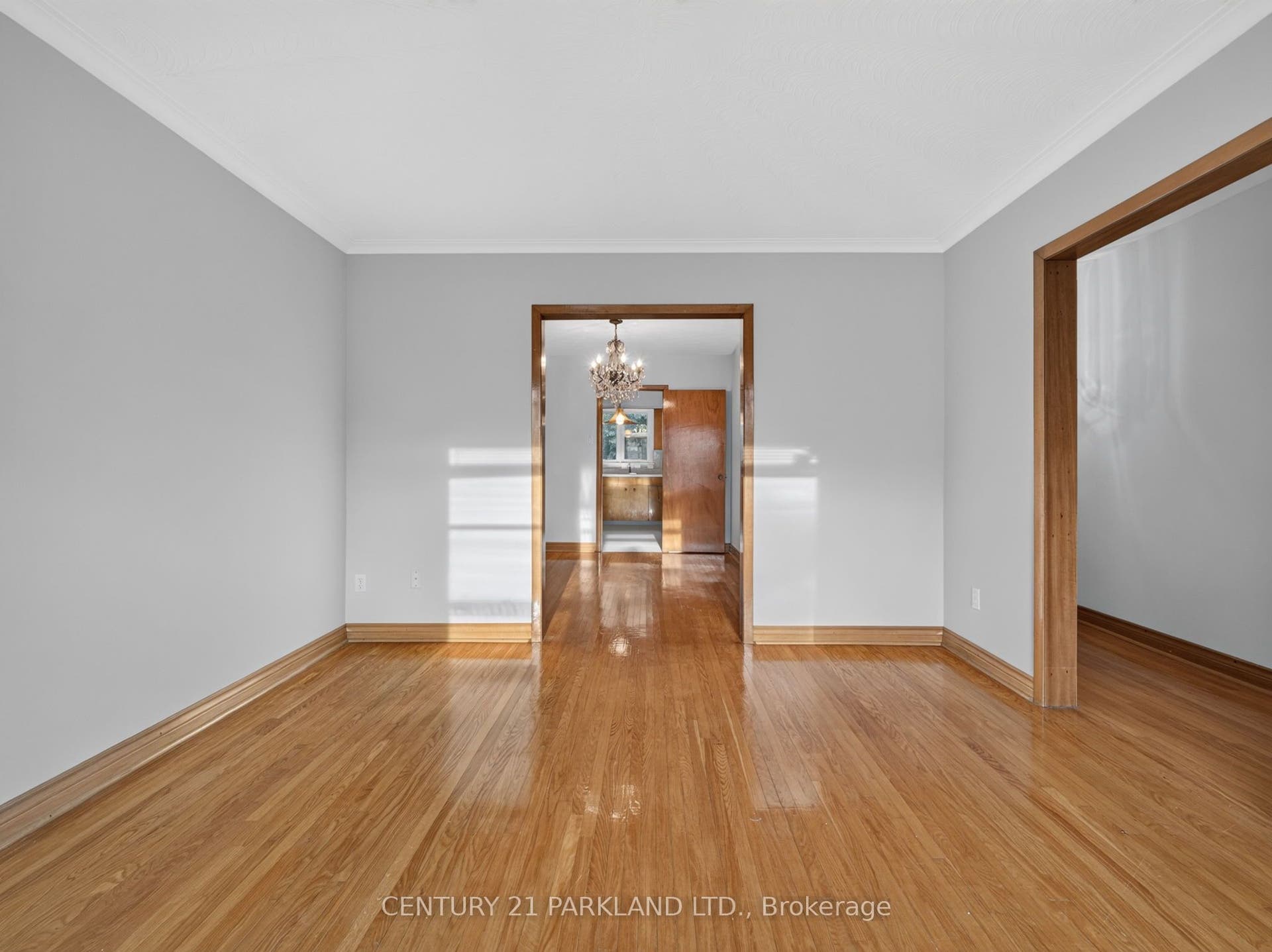 Dining Open to Kitchen