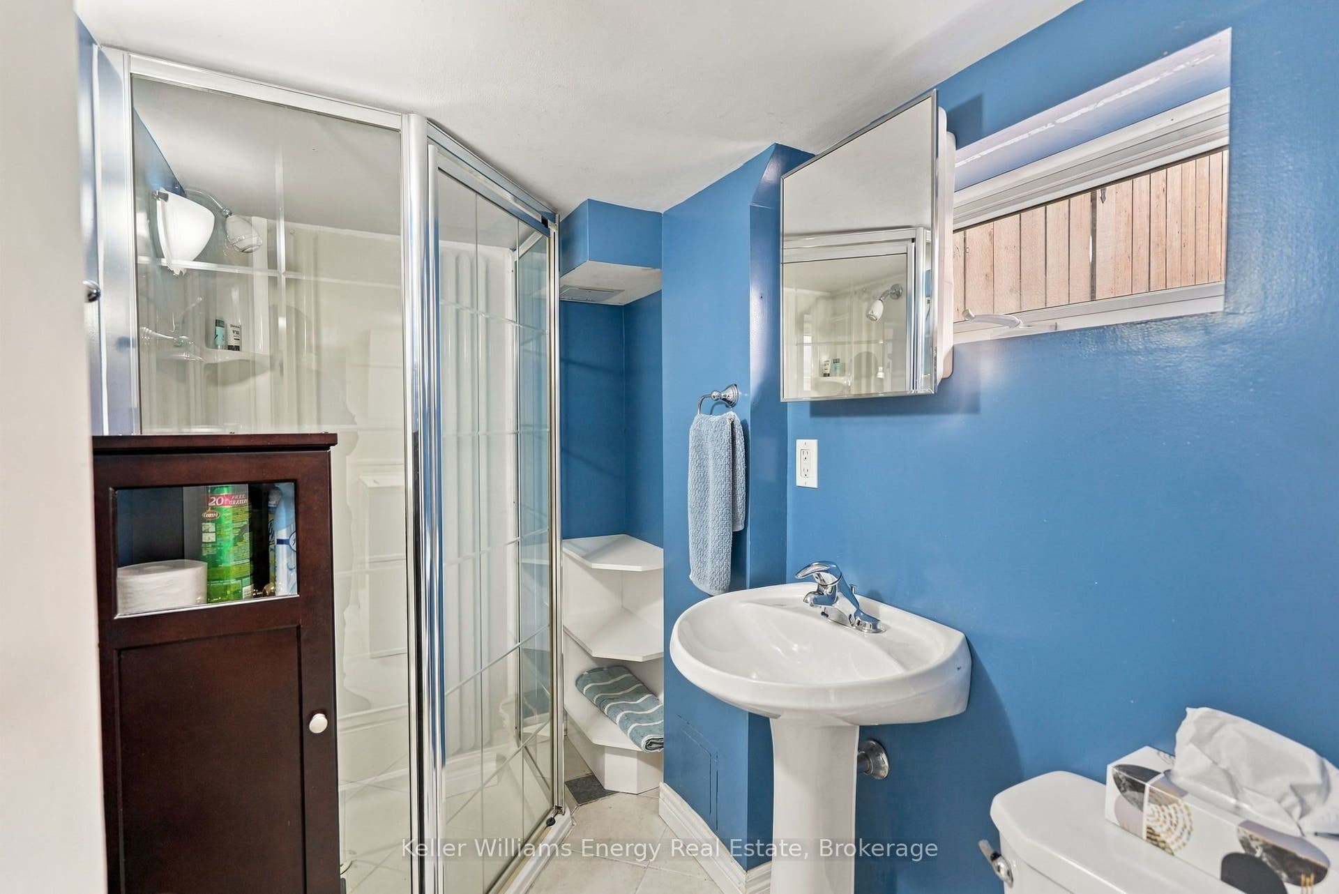 256 Grooms Avenue, Oshawa, Oshawa, Durham ON L1G 4A3
