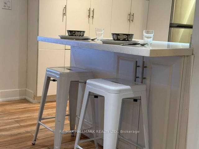 18 Pape Avenue, #basement, Toronto E, Toronto ON M4M 2V6 quartz counter breakfast bar