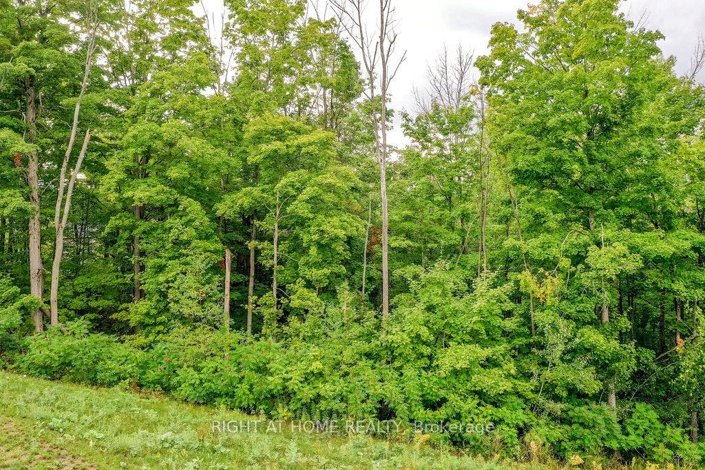 8 Forest Heights Court, Oro-Medonte, Simcoe ON L0L 2E0