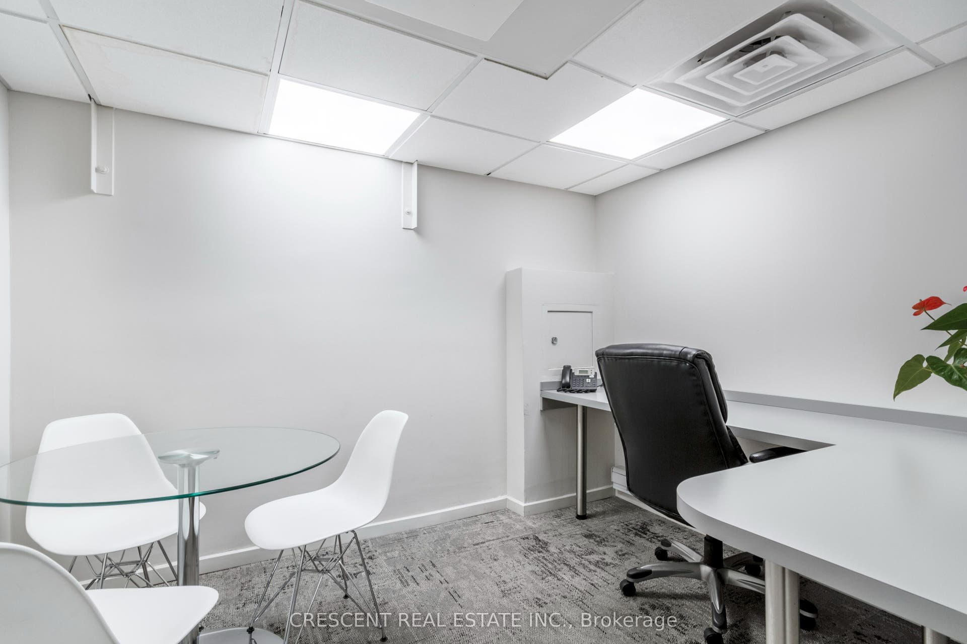 Office 6