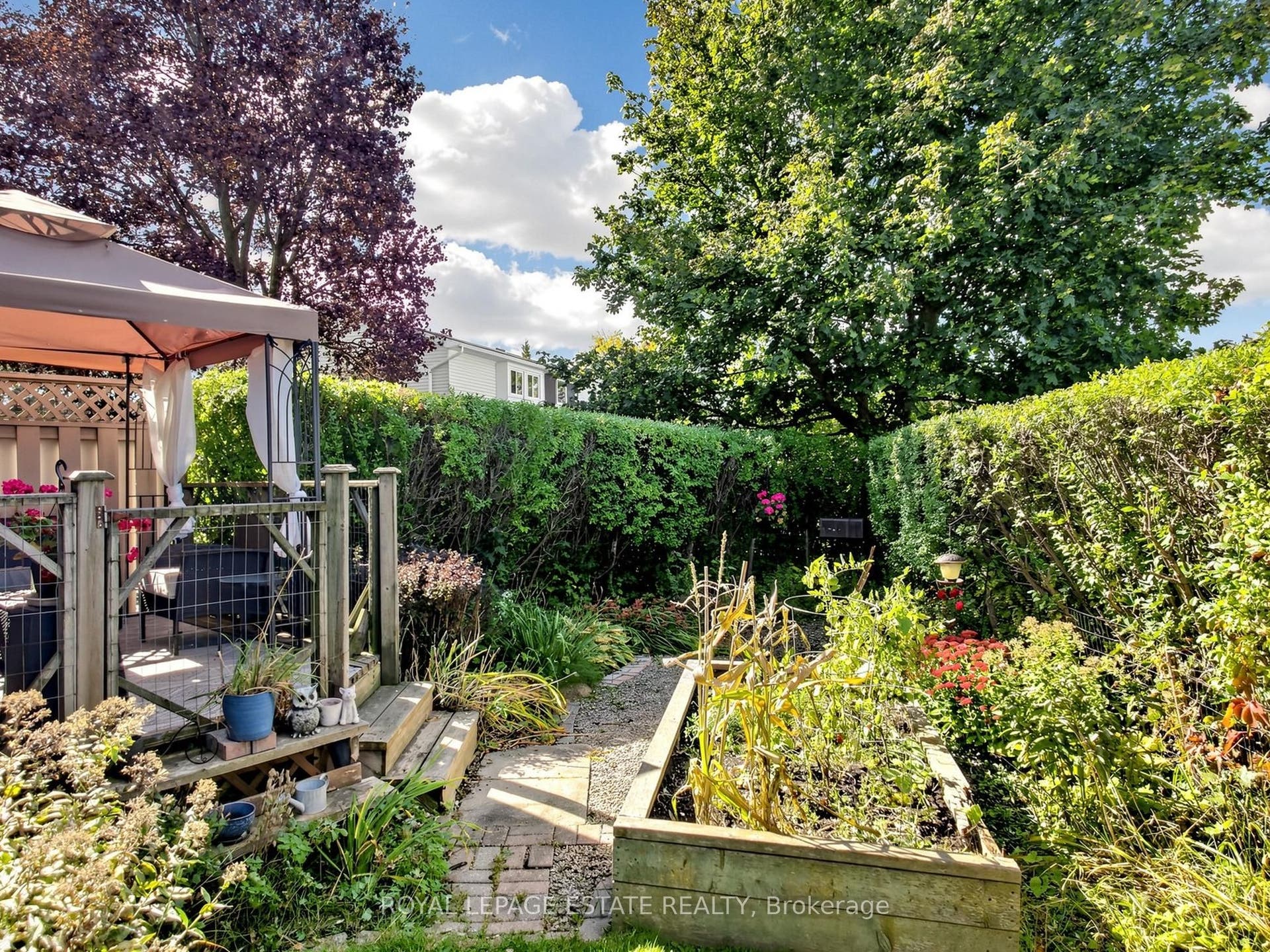 Raised garden for growing vegetables