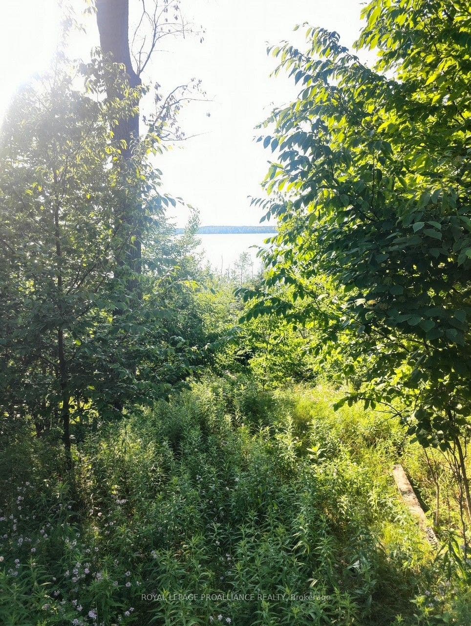 621B Cook Road, Marmora And Lake, Hastings ON K0K 2M0