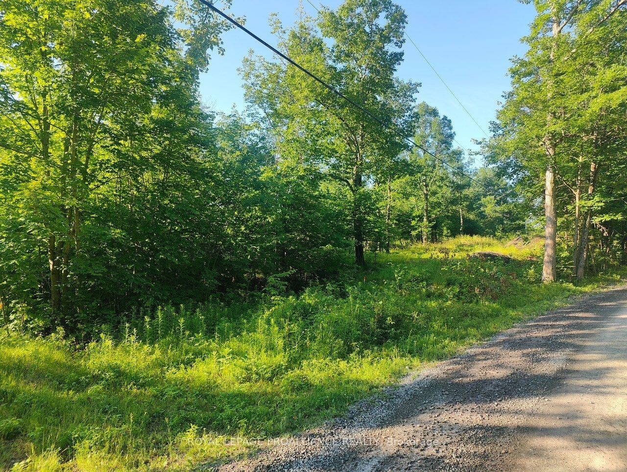 621B Cook Road, Marmora And Lake, Hastings ON K0K 2M0