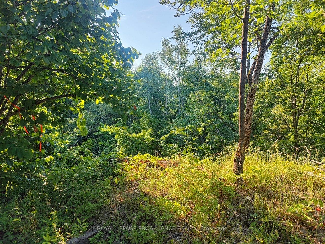 621B Cook Road, Marmora And Lake, Hastings ON K0K 2M0