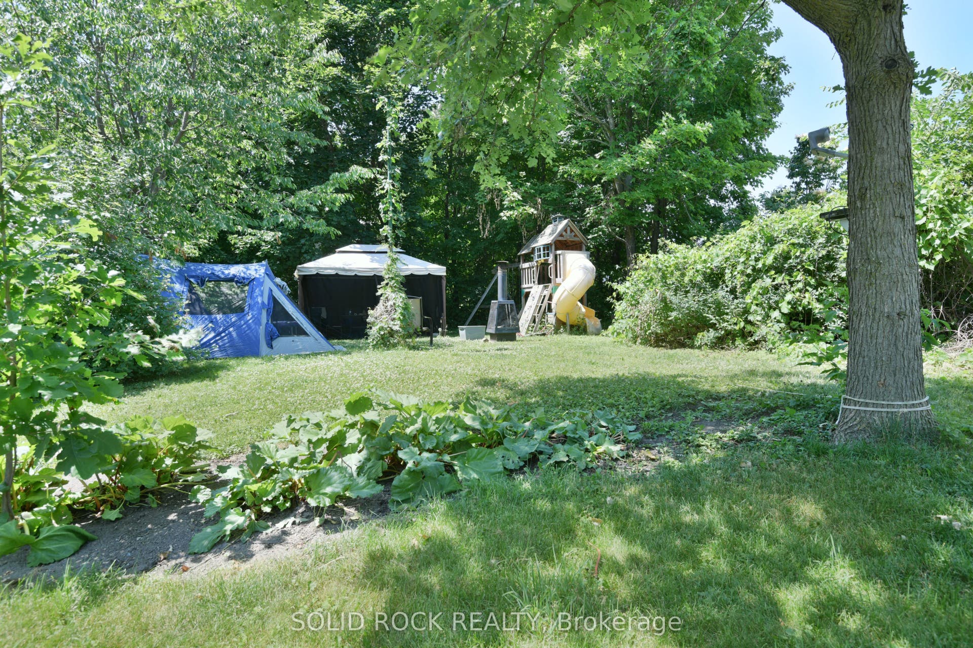 Nice deep lot with room to play