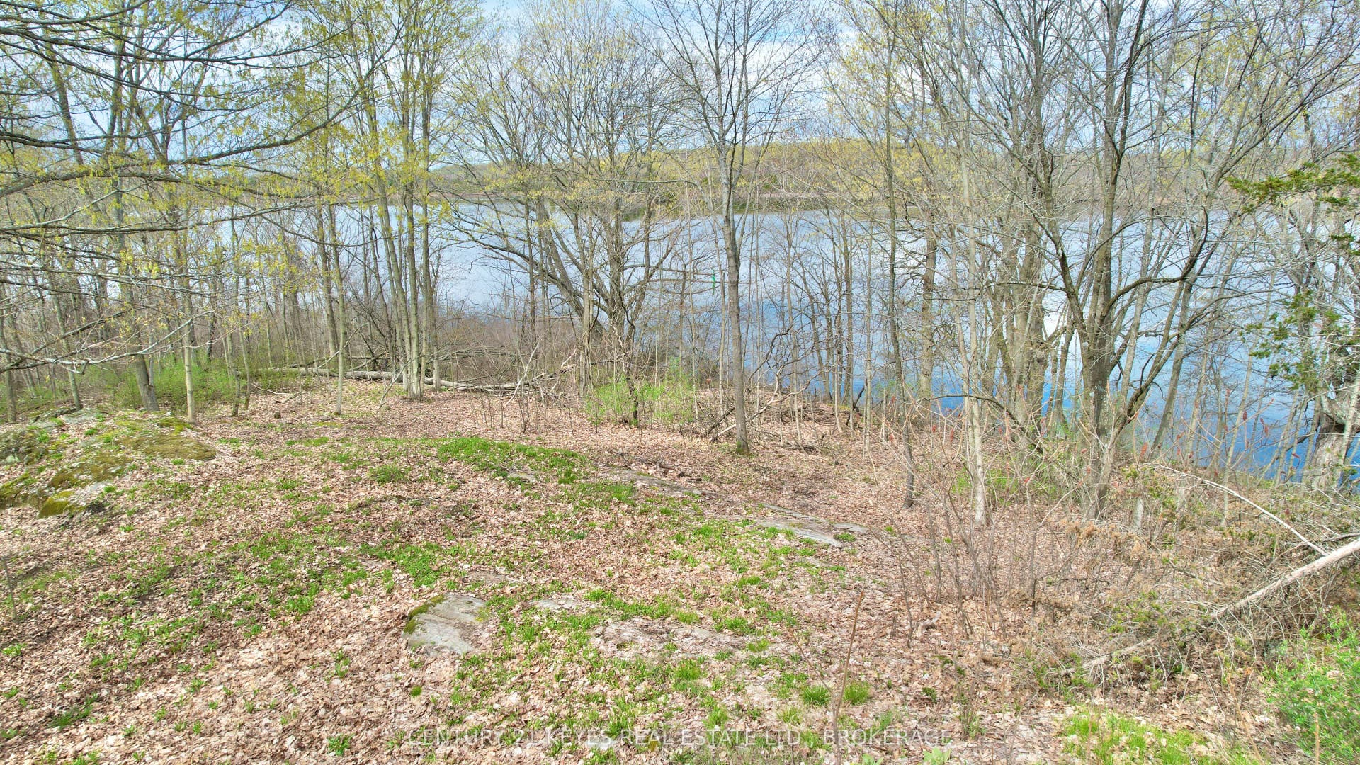 4798 Hwy 15 Highway, Kingston, Frontenac ON K0H 2N0 4798 Hwy 15 Highway, Kingston, Frontenac ON K0H 2N0