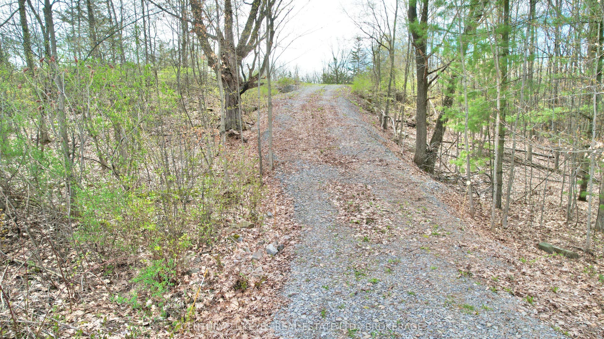 4798 Hwy 15 Highway, Kingston, Frontenac ON K0H 2N0 4798 Hwy 15 Highway, Kingston, Frontenac ON K0H 2N0