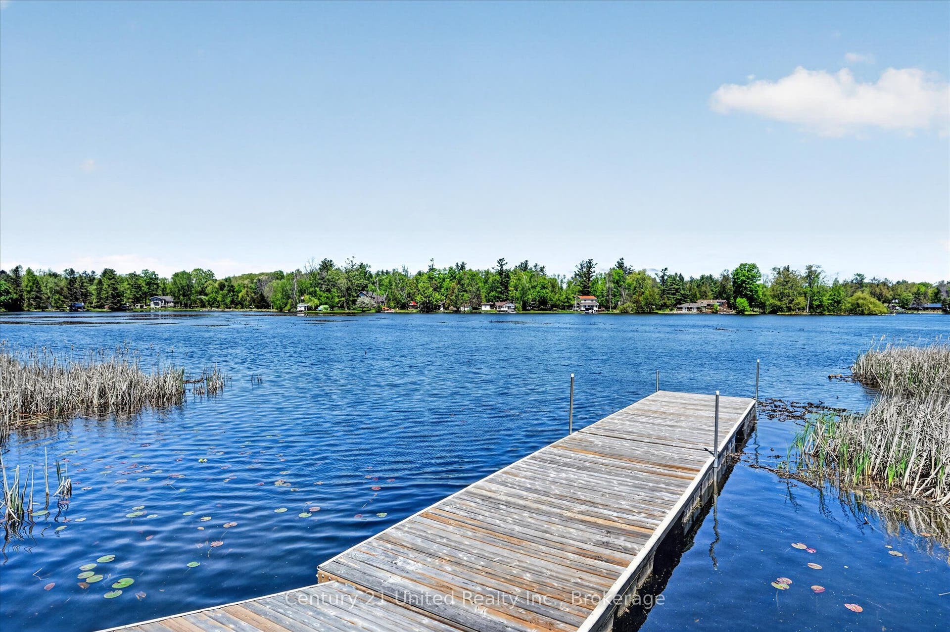 354 Marble Point Road, Marmora And Lake, Hastings ON K0K 2M0 354 Marble Point Road, Marmora And Lake, Hastings ON K0K 2M0