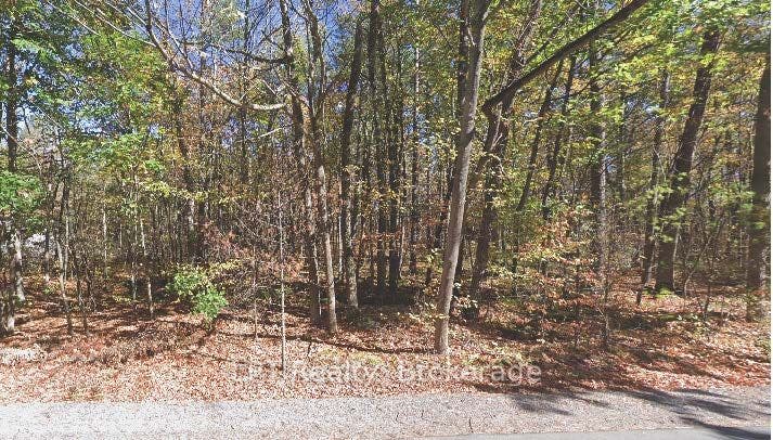 Pt Lot 8 Marble Point Road, Marmora And Lake, Hastings ON K0K 2M0 Pt Lot 8 Marble Point Road, Marmora And Lake, Hastings ON K0K 2M0