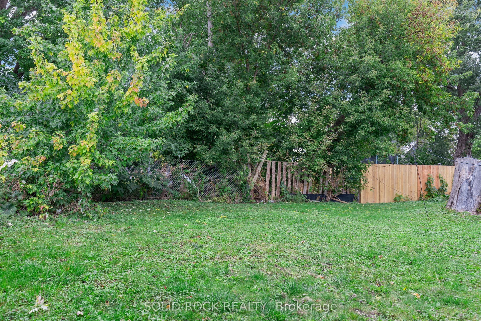 Rear yard behind bachelor & 1-bdrm apt