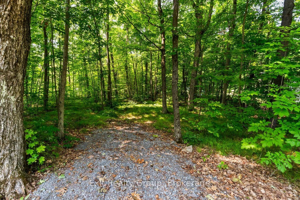 143 Marble Point Road, Marmora And Lake, Hastings ON K0K 2M0