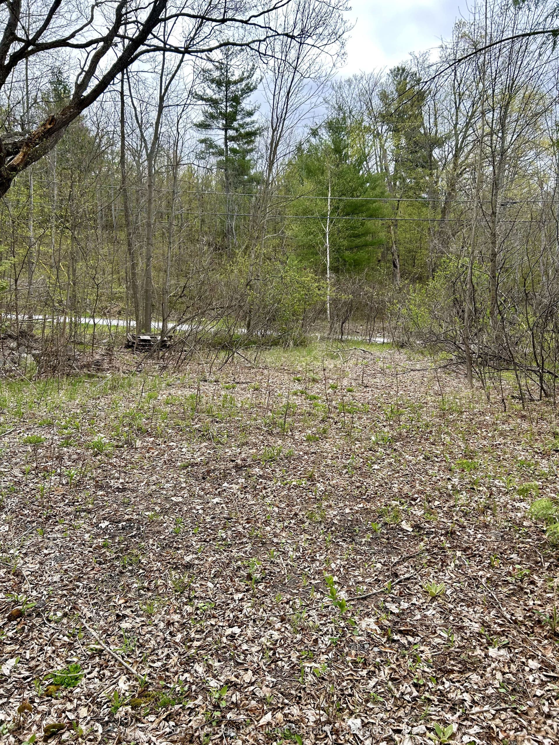 31 Glen Ridge Road, Marmora And Lake, Hastings ON K0K 2M0 31 Glen Ridge Road, Marmora And Lake, Hastings ON K0K 2M0