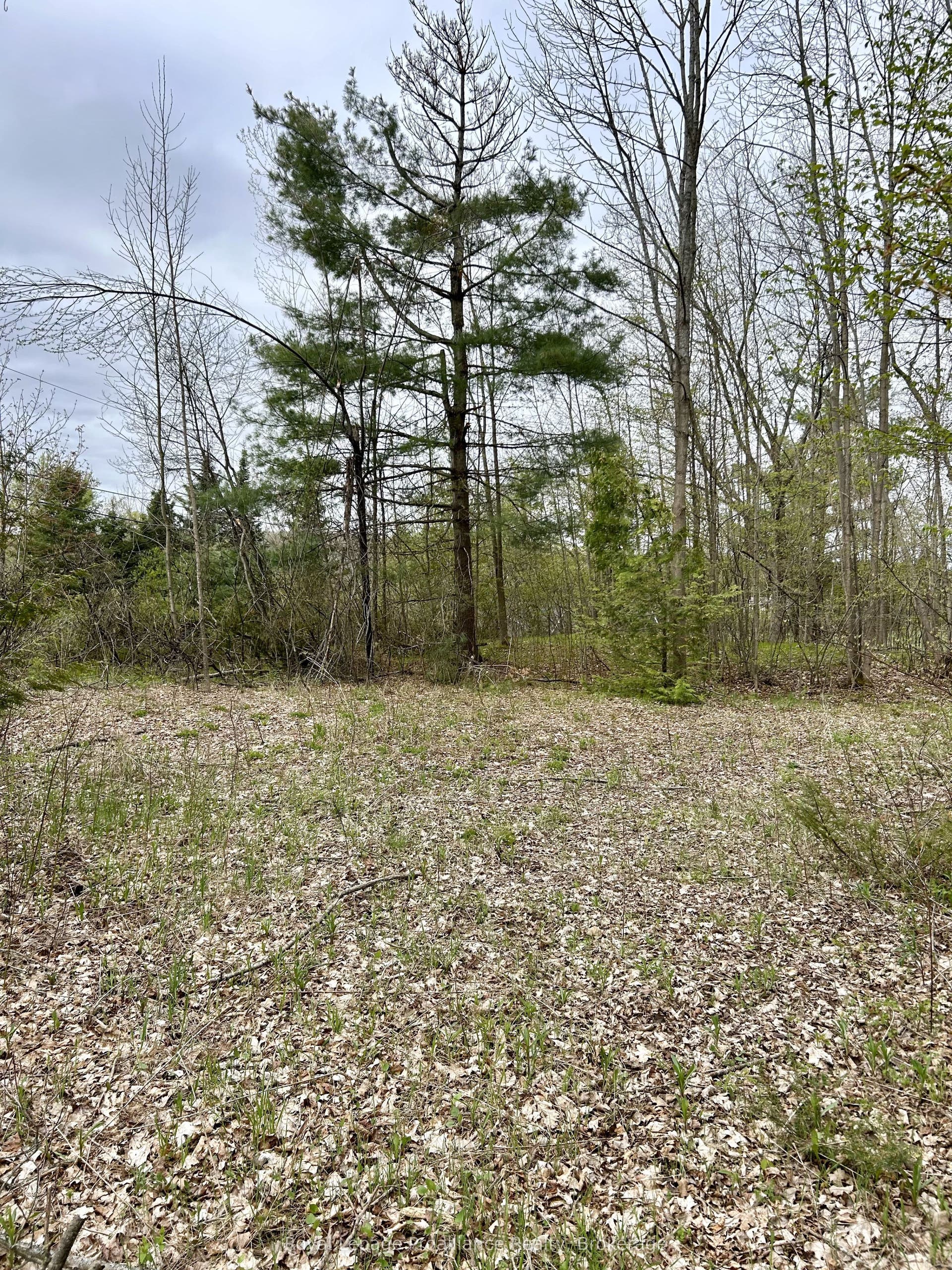 31 Glen Ridge Road, Marmora And Lake, Hastings ON K0K 2M0 31 Glen Ridge Road, Marmora And Lake, Hastings ON K0K 2M0