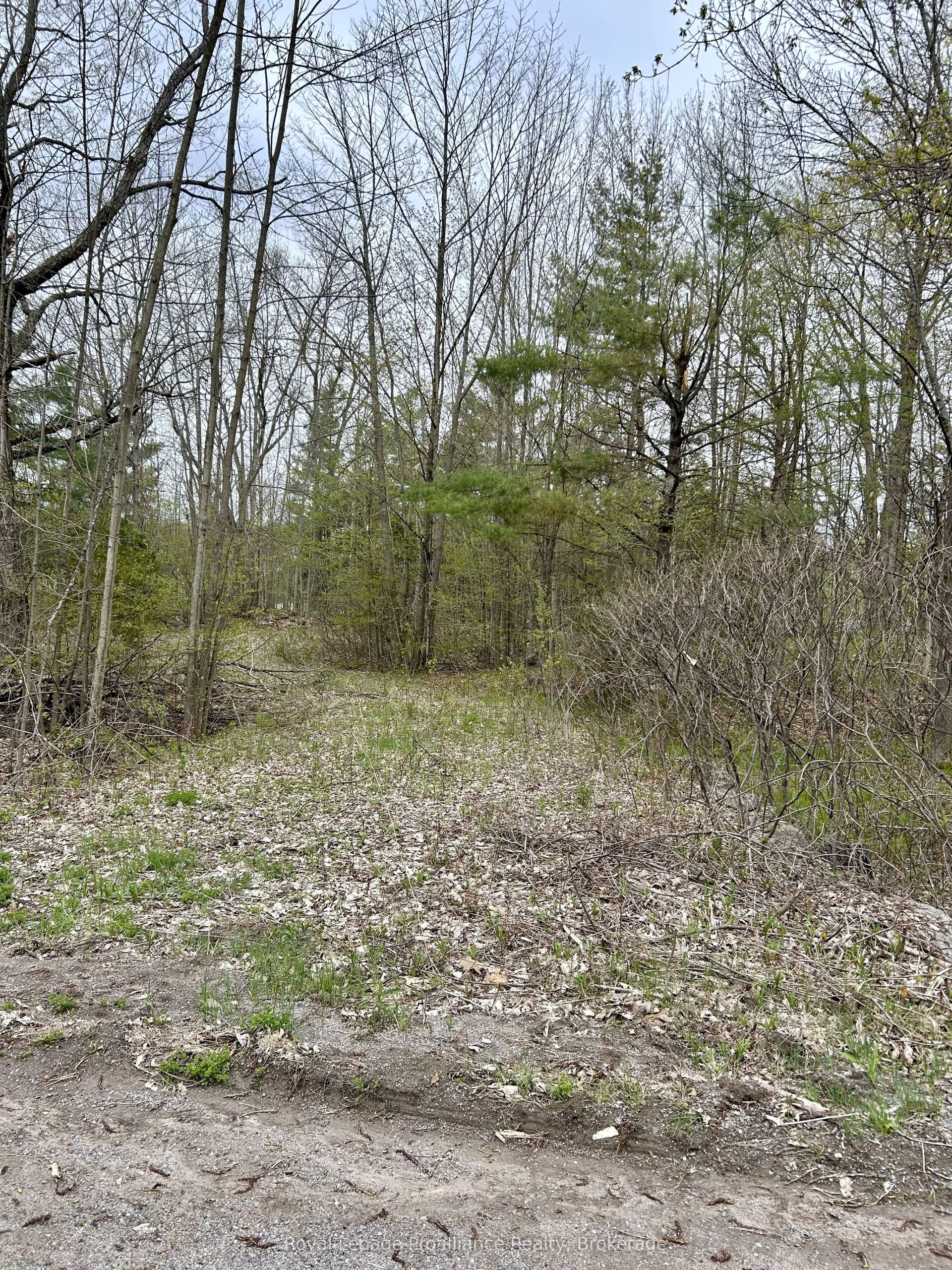 31 Glen Ridge Road, Marmora And Lake, Hastings ON K0K 2M0 31 Glen Ridge Road, Marmora And Lake, Hastings ON K0K 2M0