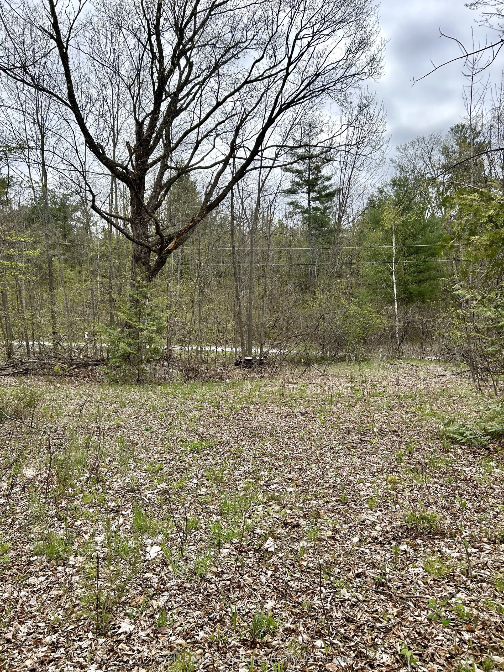 31 Glen Ridge Road, Marmora And Lake, Hastings ON K0K 2M0 31 Glen Ridge Road, Marmora And Lake, Hastings ON K0K 2M0