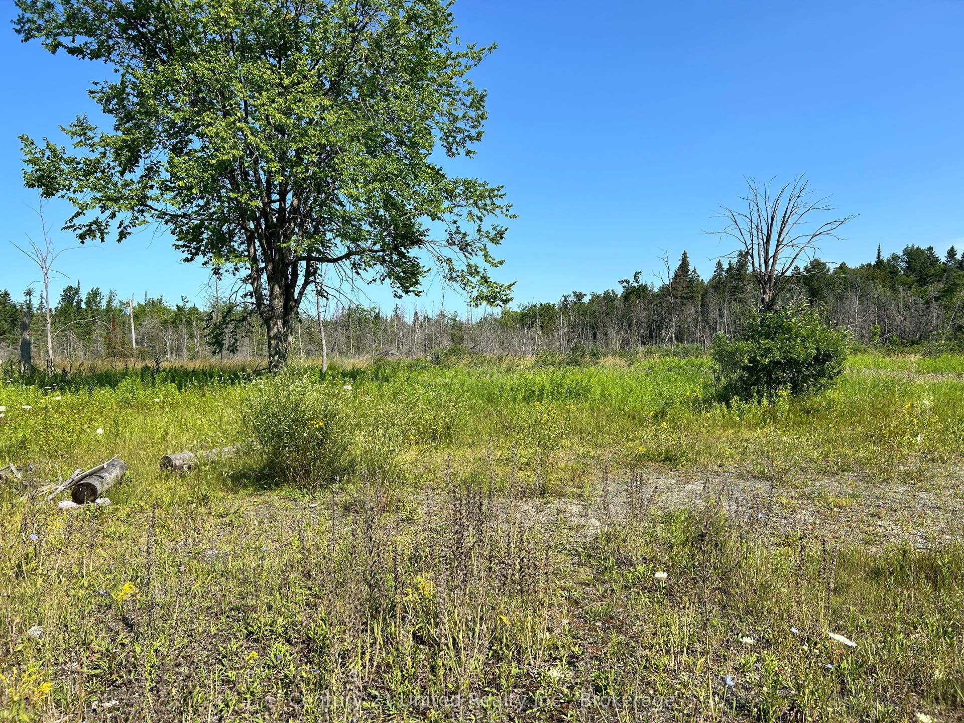 00 Highway 7 N/A, Marmora And Lake, Hastings ON K0K 2M0