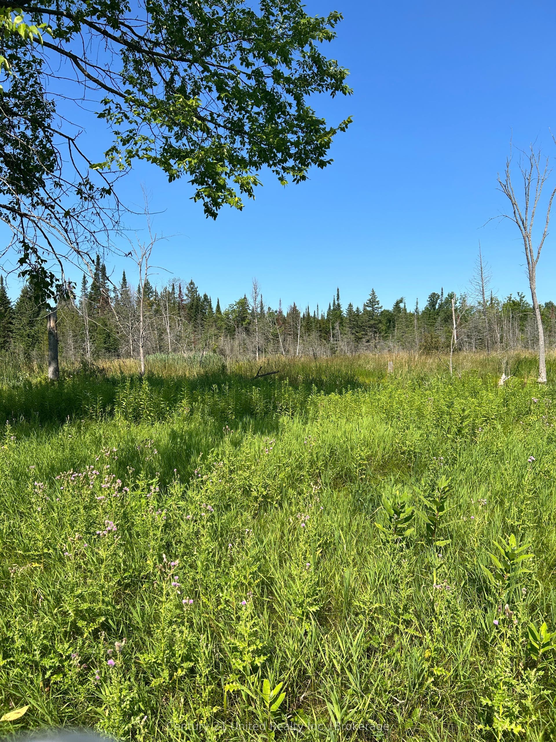 00 Highway 7 N/A, Marmora And Lake, Hastings ON K0K 2M0