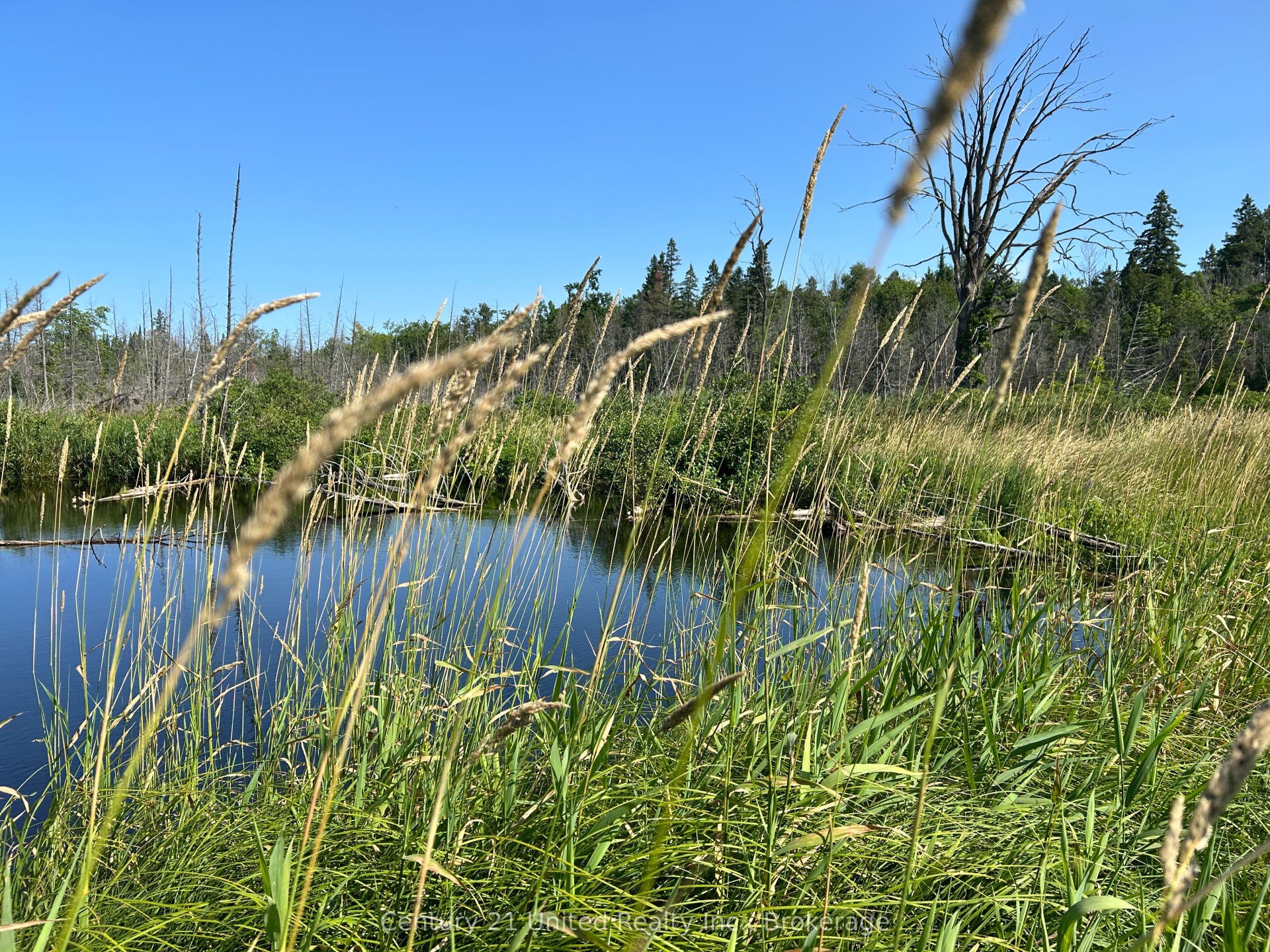 00 Highway 7 N/A, Marmora And Lake, Hastings ON K0K 2M0