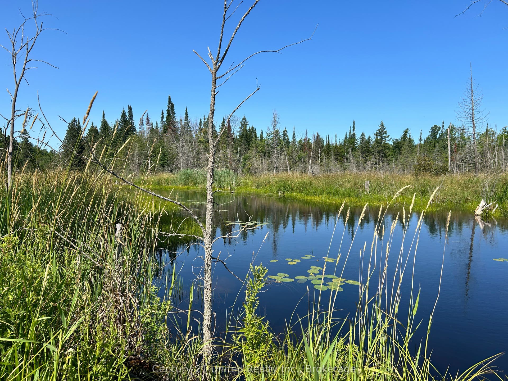 00 Highway 7 N/A, Marmora And Lake, Hastings ON K0K 2M0