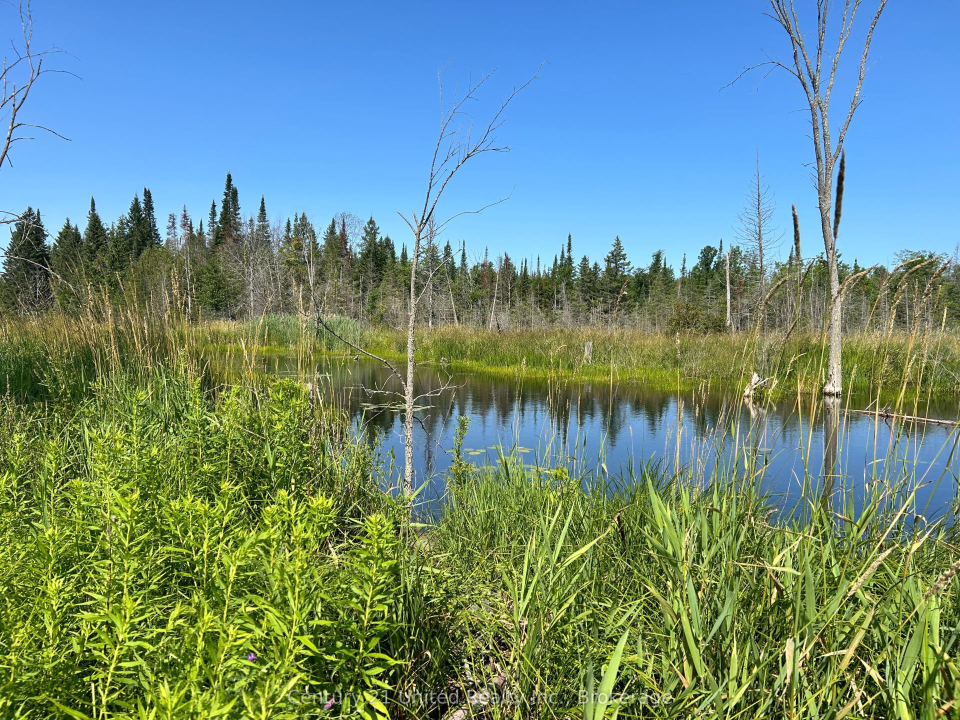 00 Highway 7 N/A, Marmora And Lake, Hastings ON K0K 2M0