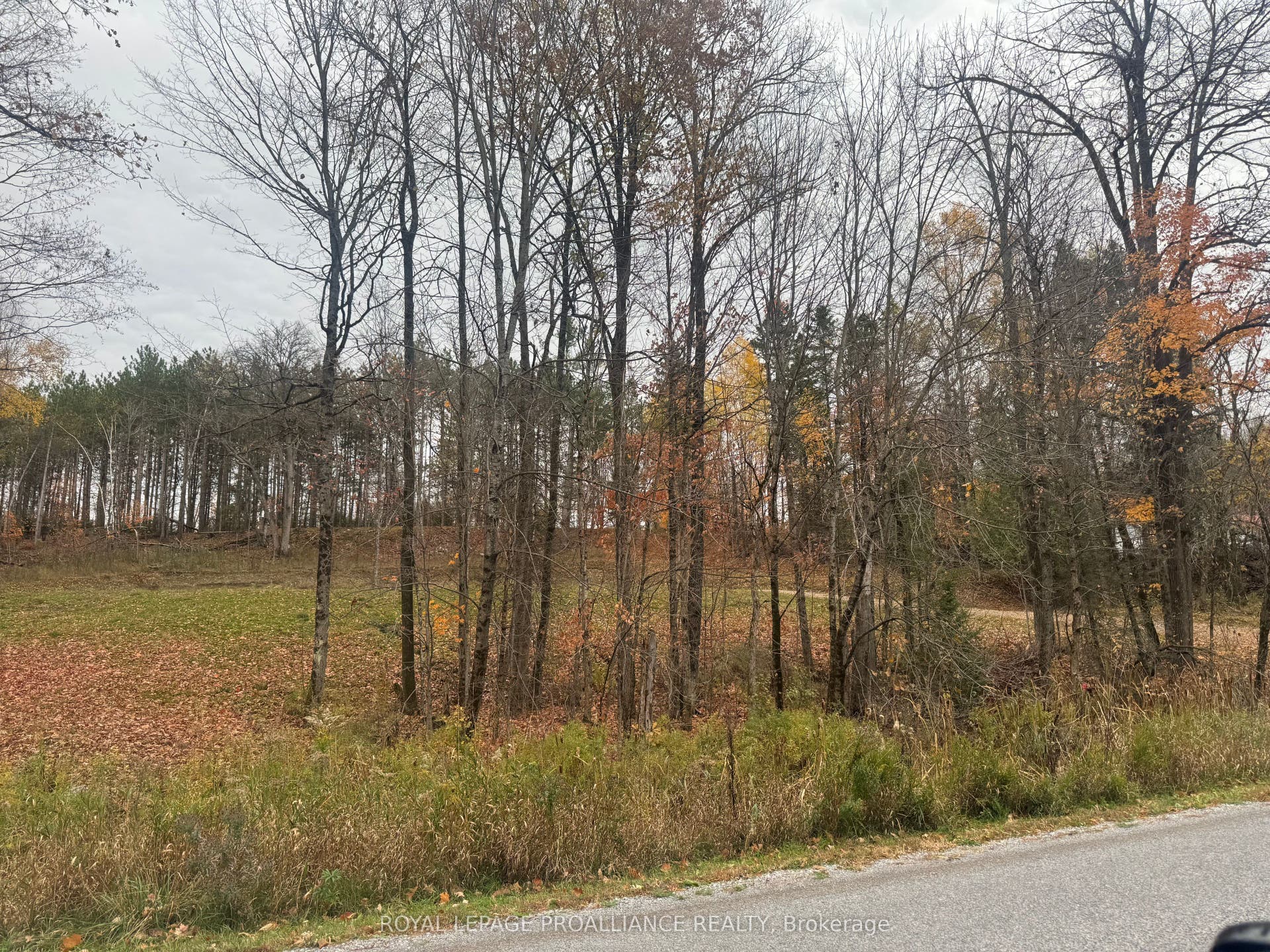 1054 Centre Line Road, Marmora And Lake, Hastings ON K0K 2M0 1054 Centre Line Road, Marmora And Lake, Hastings ON K0K 2M0