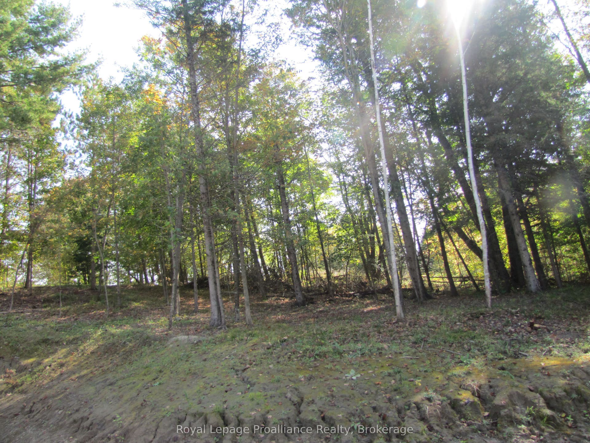 1054 Centre Line Road, Marmora And Lake, Hastings ON K0K 2M0 1054 Centre Line Road, Marmora And Lake, Hastings ON K0K 2M0