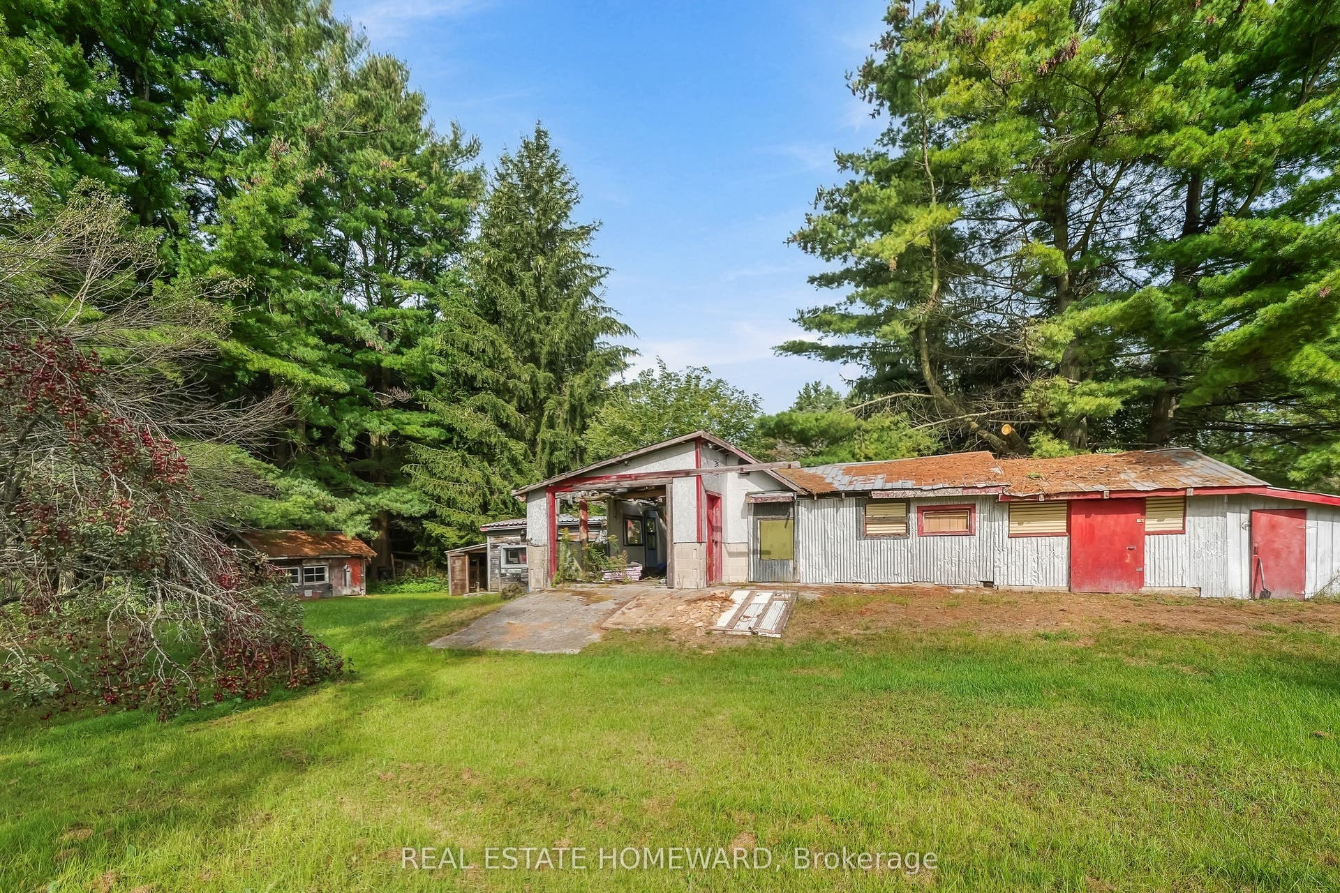 388 Blyth Park Road, Cramahe, Northumberland ON K0K 1S0