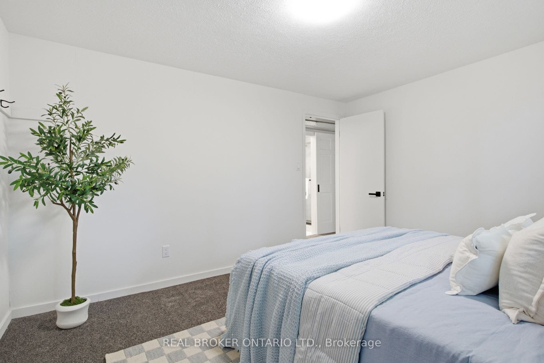 22 Ripley Crescent, Waterloo, Waterloo ON N2N 1V4 22 Ripley Crescent, Waterloo, Waterloo ON N2N 1V4