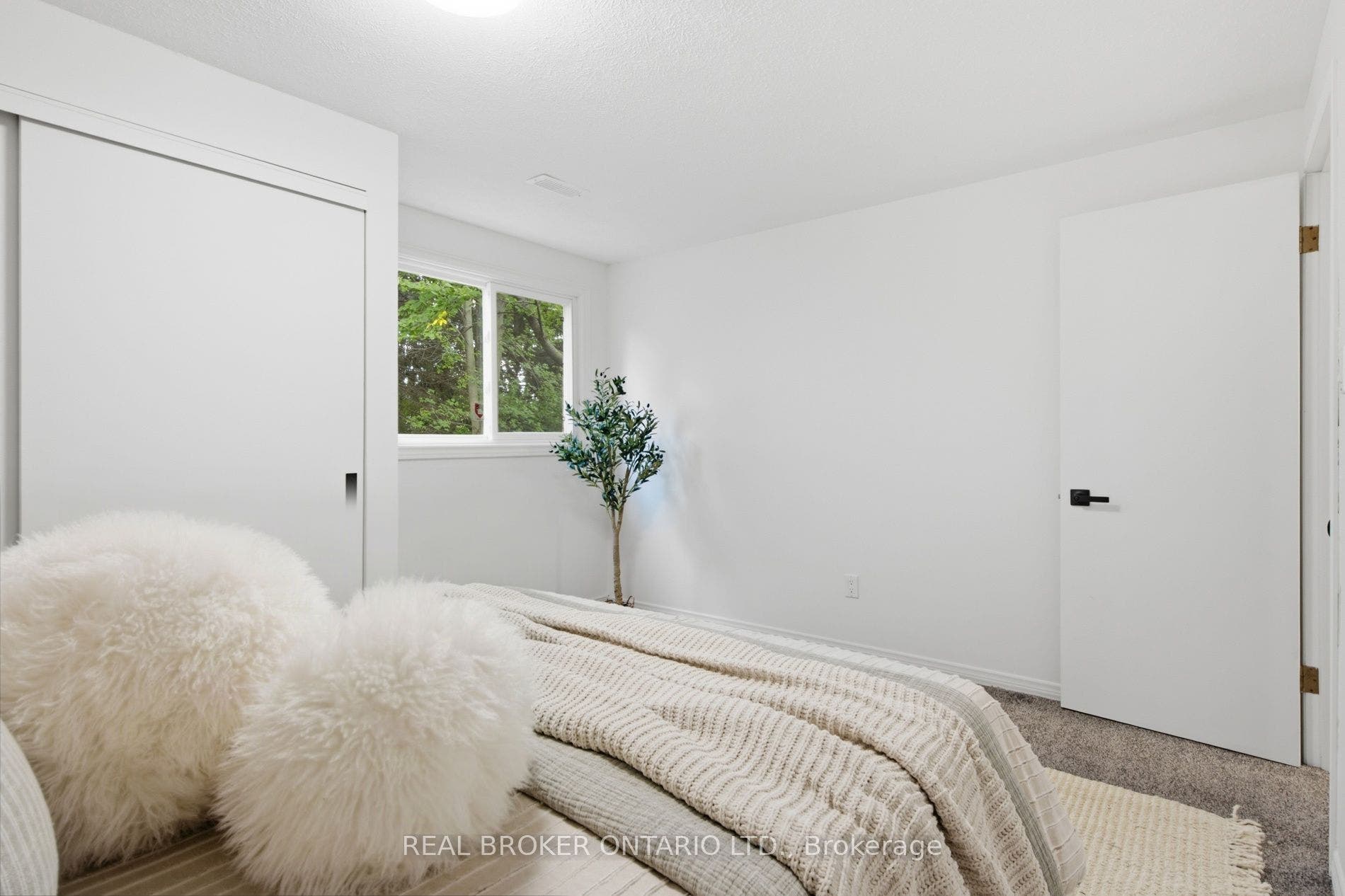 22 Ripley Crescent, Waterloo, Waterloo ON N2N 1V4 22 Ripley Crescent, Waterloo, Waterloo ON N2N 1V4