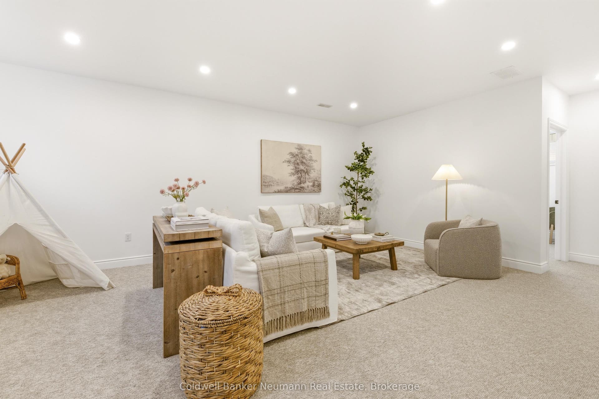 Basement Living Room