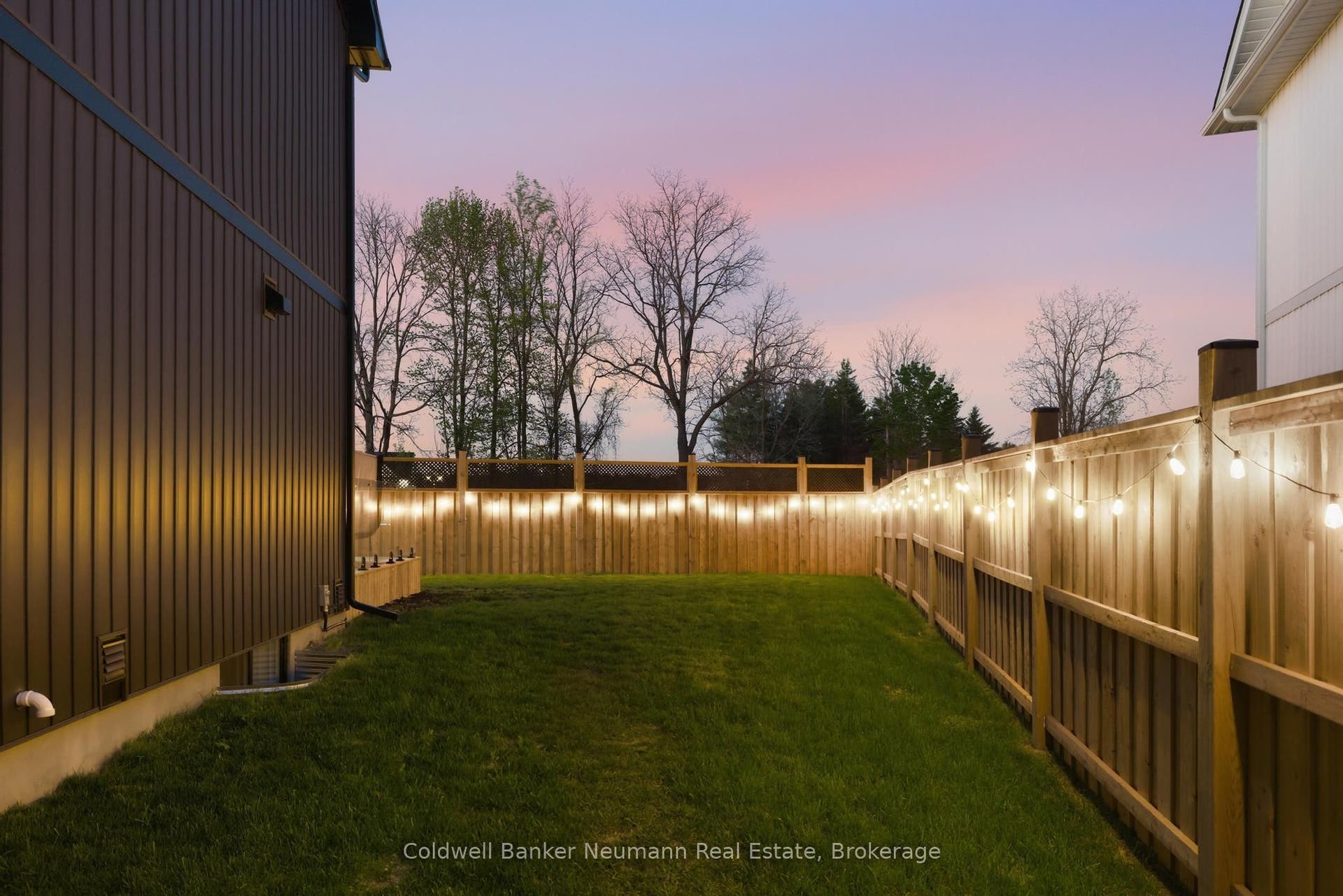 Rear Yard & String Lights