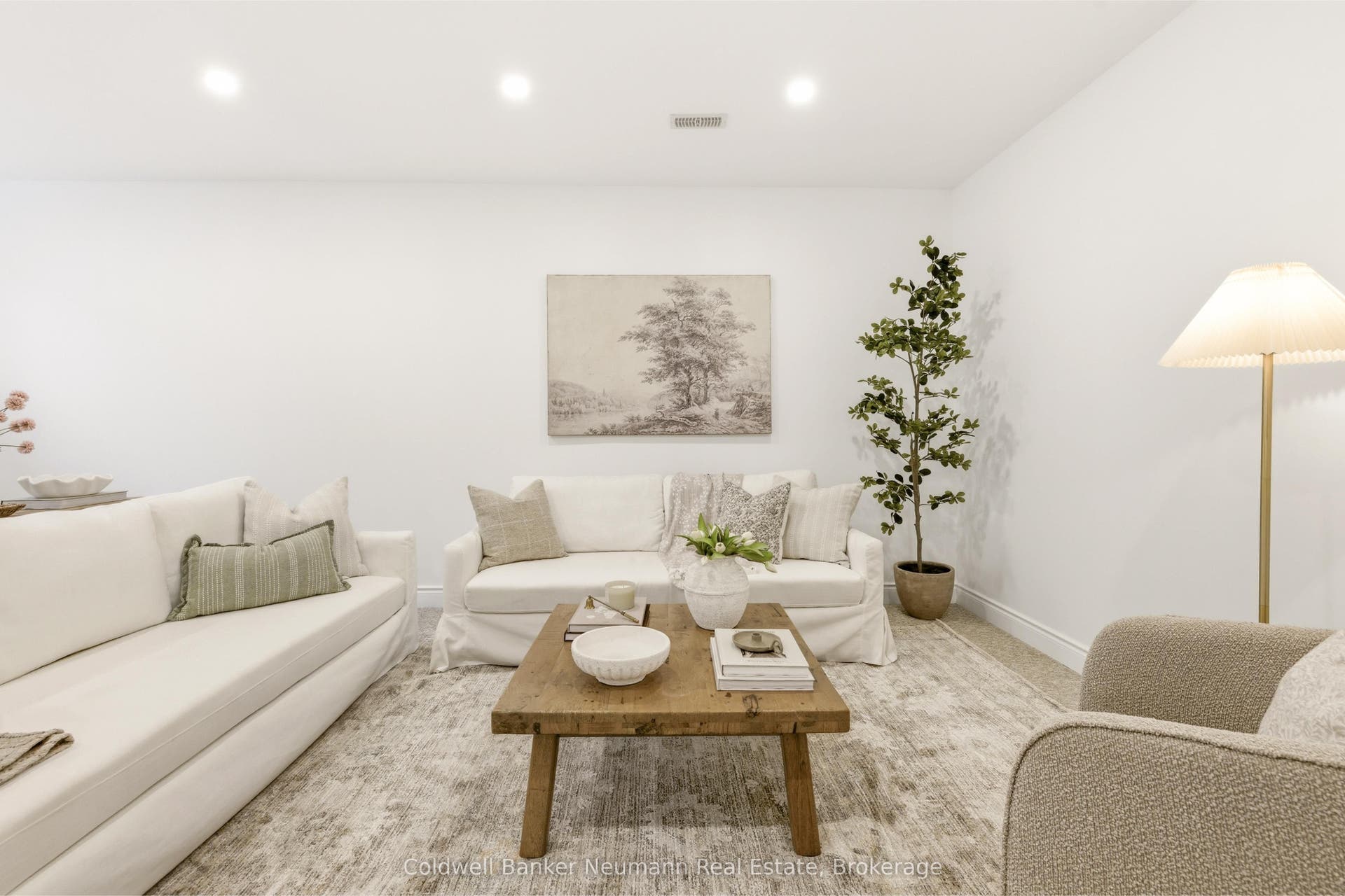 Basement Living Room