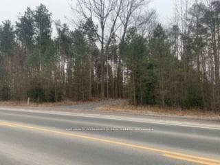0 County Rd 42 N/A, Trent Hills, Northumberland ON K0L 1Z0