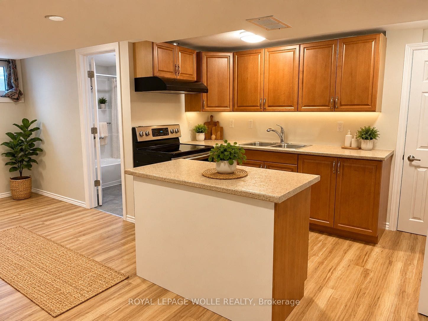 249 Blucher Street, #Lower, Kitchener, Waterloo ON N2H 5V6 Kitchen - Virtually Staged