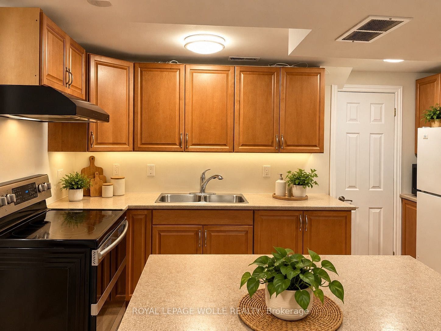 249 Blucher Street, #Lower, Kitchener, Waterloo ON N2H 5V6 Kitchen - Virtually Staged