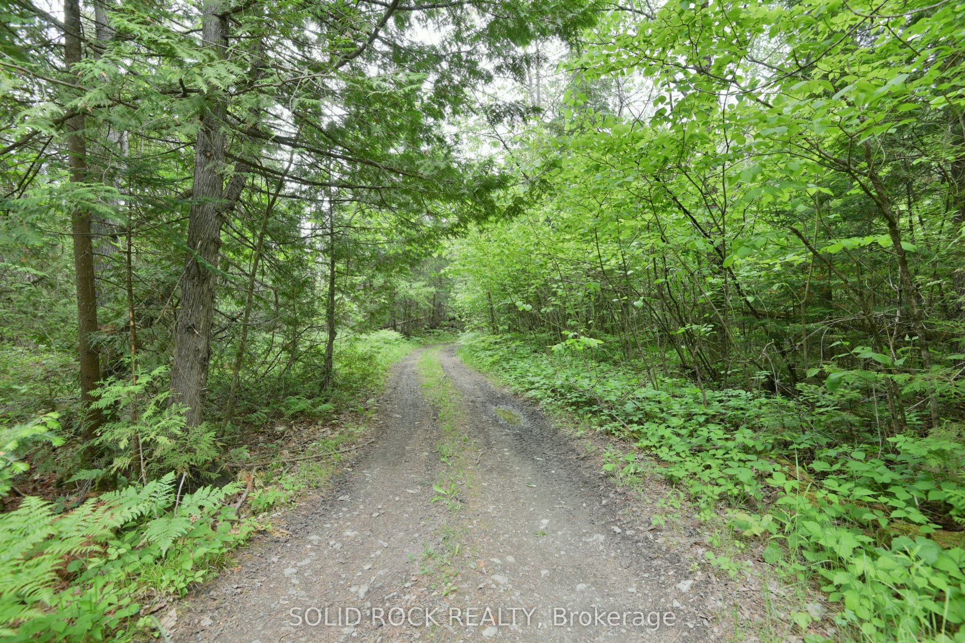 0 Mast Road, McNab/Braeside, Renfrew ON K7S 3G8 0 Mast Road, McNab/Braeside, Renfrew ON K7S 3G8