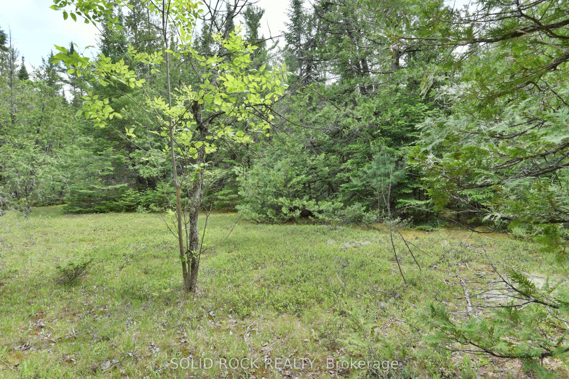 0 Mast Road, McNab/Braeside, Renfrew ON K7S 3G8 0 Mast Road, McNab/Braeside, Renfrew ON K7S 3G8