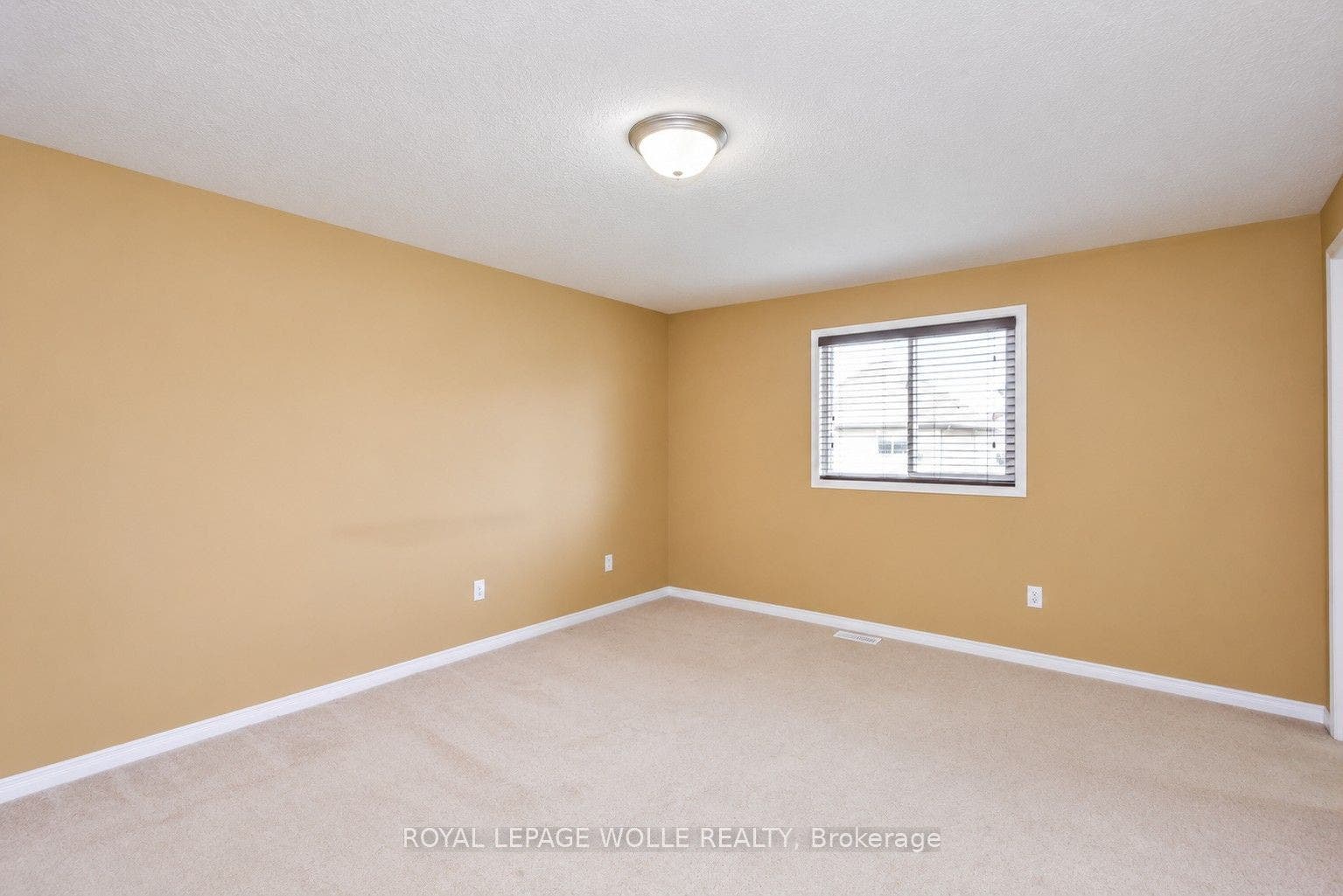 16 Frankfurt Street, Kitchener, Waterloo ON N2R 1T5 16 Frankfurt Street, Kitchener, Waterloo ON N2R 1T5