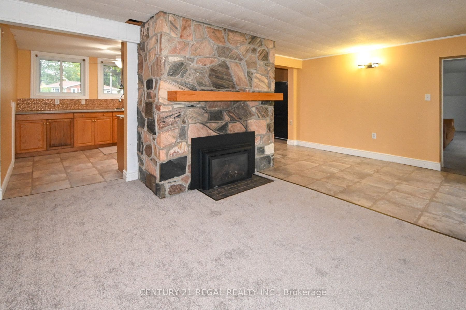 65 Cameron Street, Marmora And Lake, Hastings ON K0K 2M0 Stone Fireplace w/Gas F.P. Insert Bsmt N/W Side