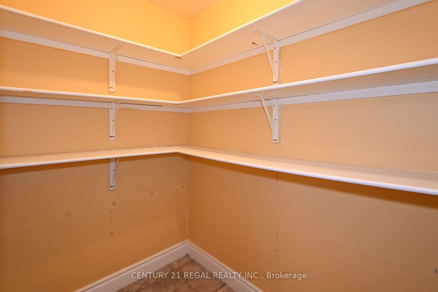 65 Cameron Street, Marmora And Lake, Hastings ON K0K 2M0 Walk-In Pantry - Basement Kitchen N/W Side