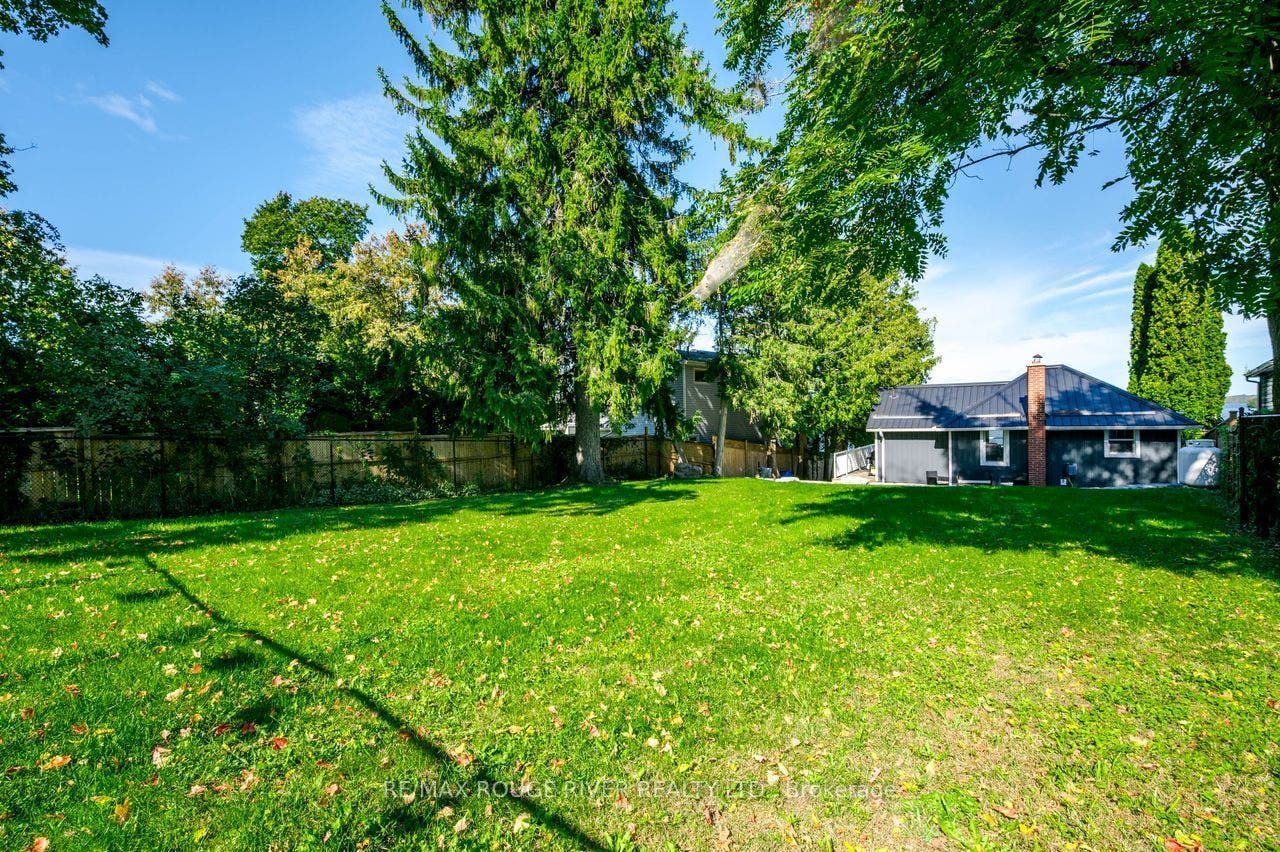 Large Level backyard