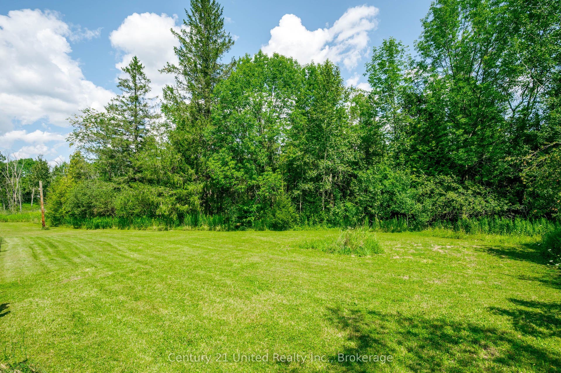 1269 County 46 Road, Havelock-Belmont-Methuen, Peterborough ON K0L 1Z0