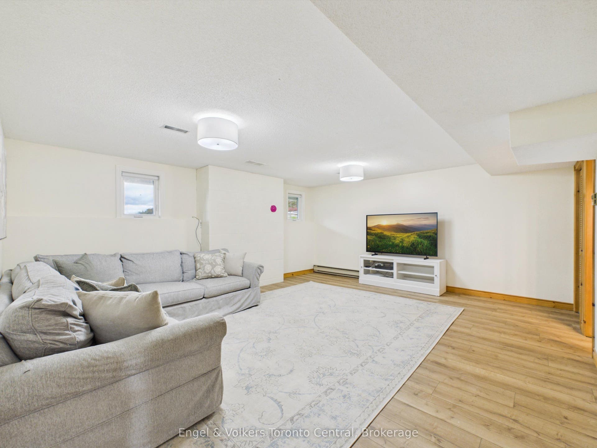 Lower level family room