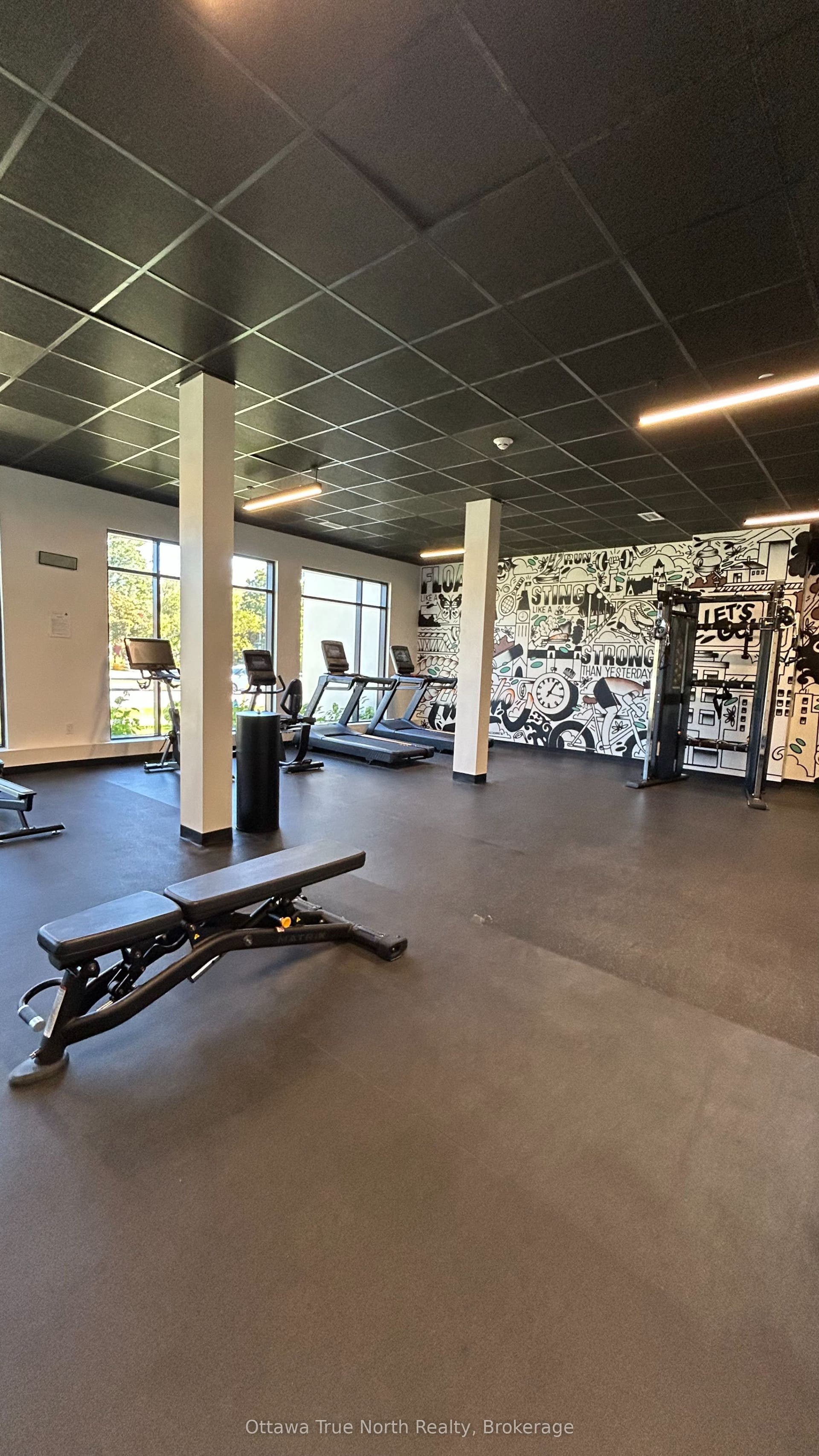 GYM