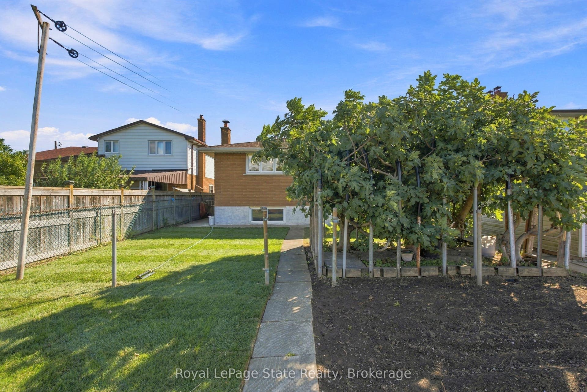 GORGEOUS garden; amazing FIG tree & grass area.